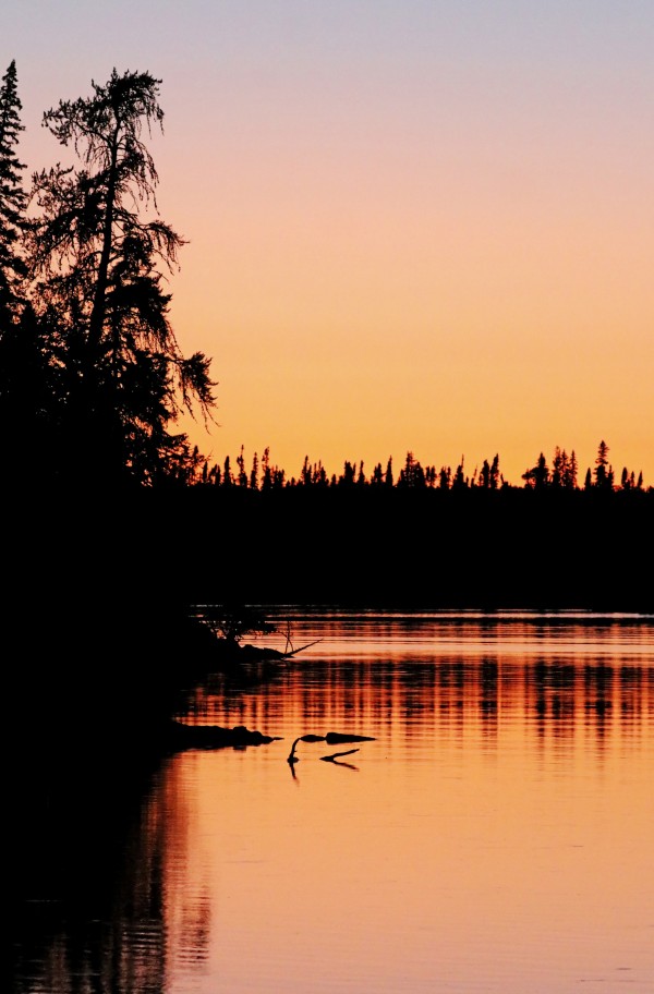 Orange Glow Sunset by Deb Oppermann